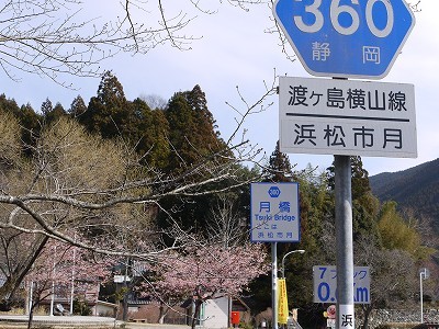 110306-05.jpg