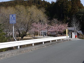 110306-06.jpg