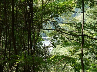 110706-01.jpg