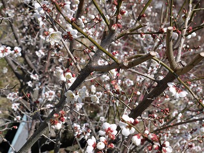 120311-02.jpg