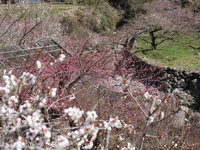 120311-03.jpg
