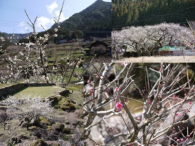 120311-04.jpg