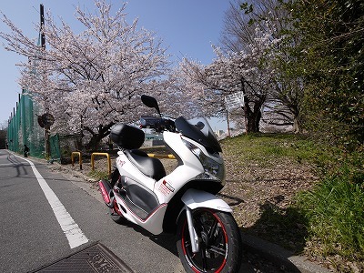 130330-02m.jpg