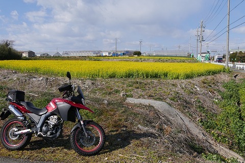 180204-31.jpg