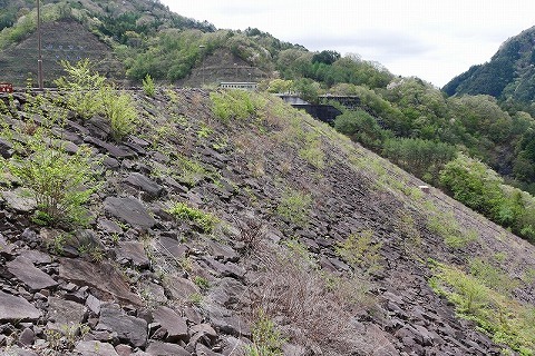 190501-10.jpg