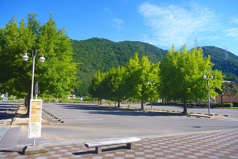 200813-12.jpg