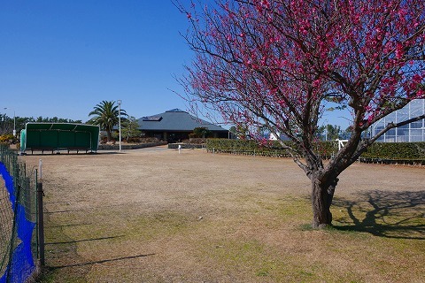210206-10.jpg