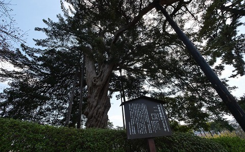 220409-229.jpg