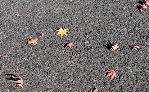 221119-27.jpg