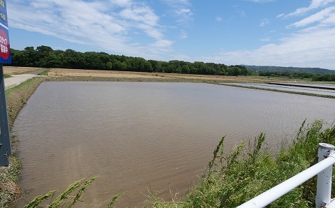230603-07.jpg