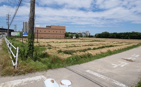 230603-08.jpg