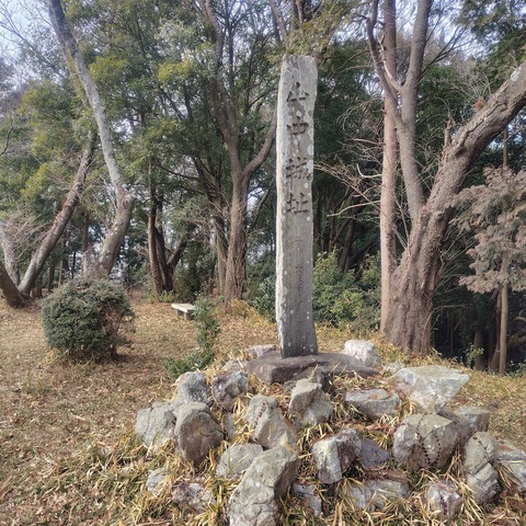 250215-25.jpg