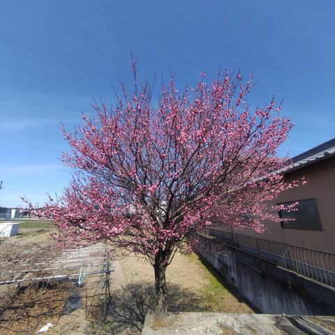 250301-05.jpg