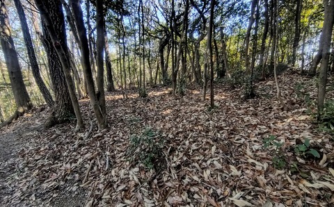 250309-18.jpg