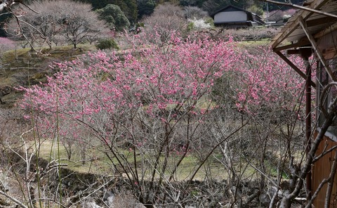 250314-01.jpg