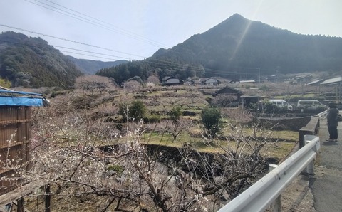 250314-02.jpg