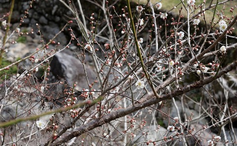 250314-03.jpg