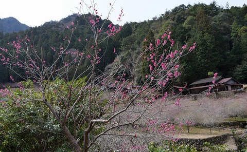250314-06.jpg