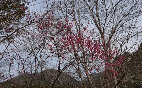 250314-10.jpg