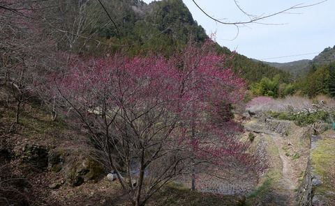 250314-11.jpg