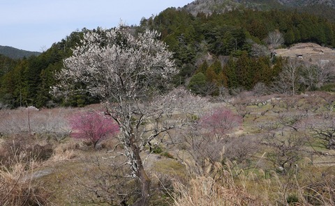250314-12.jpg