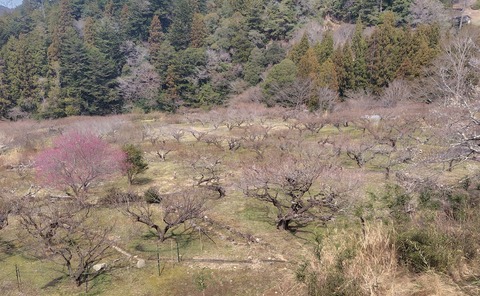 250314-13.jpg