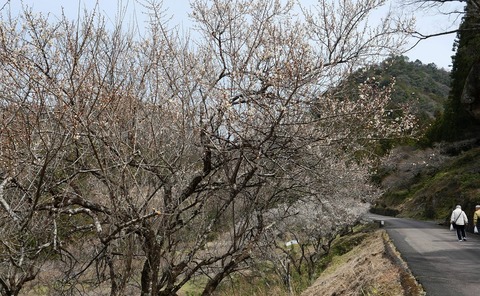 250314-14.jpg