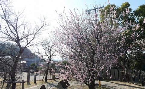 250322-14.jpg