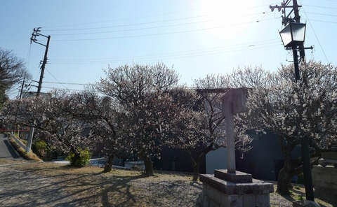 250322-20.jpg