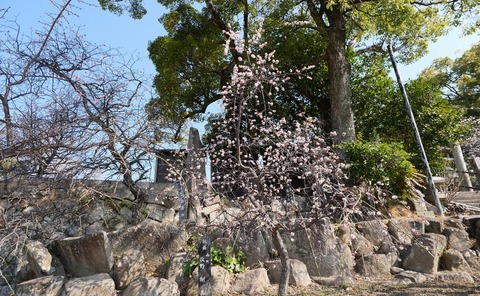 250322-21.jpg