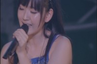 Shockig Live AIRI13.jpg