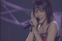 Shockig Live maimi5.jpg