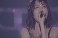 Shockig Live maimi8.jpg