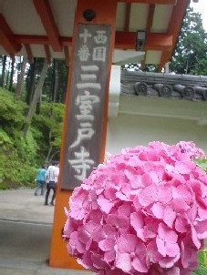 三室戸寺1.jpg