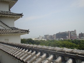 明石公園3.jpg