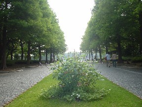 長居植物園入口.jpg