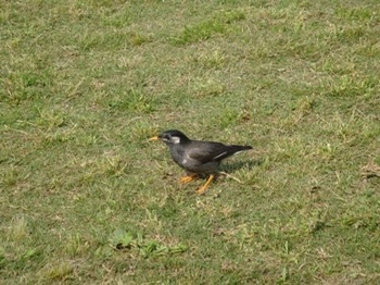 長居植物園小鳥さん.jpg