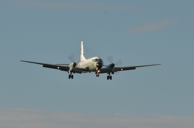 YS-11M