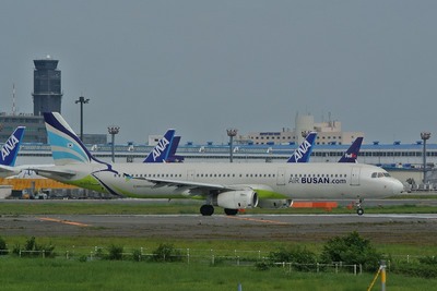 HL8213