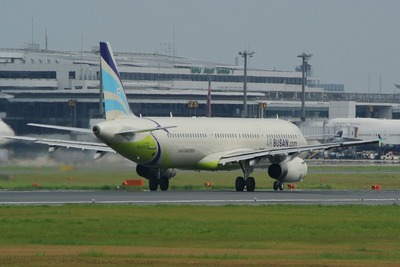 HL8213