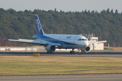 JA8313