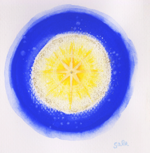 chikakomori-1.gif