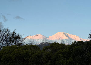 image1.jpg