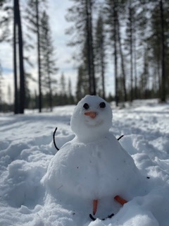 yukiIMG_2498-1.jpeg