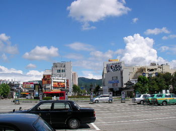 駅前から真正面にあるのが飯盛山