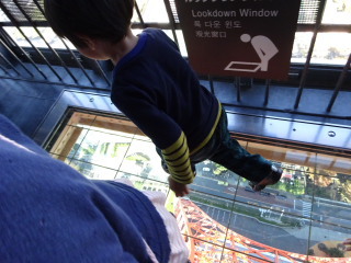 Lookdown Windowを歩くテラ太