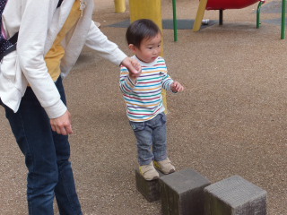 公園で遊ぶテラ太