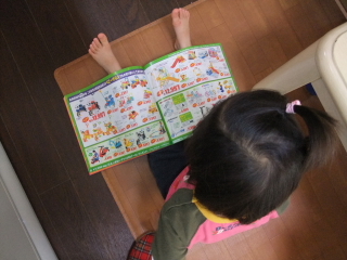 読書？をするテラ子