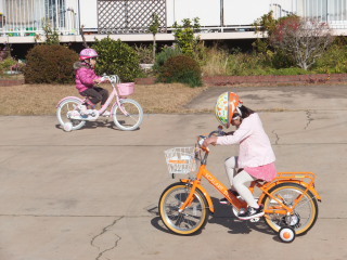 自転車に乗るテラ美とテラ子