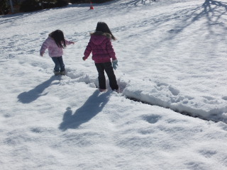 雪の中のテラ子とテラ美